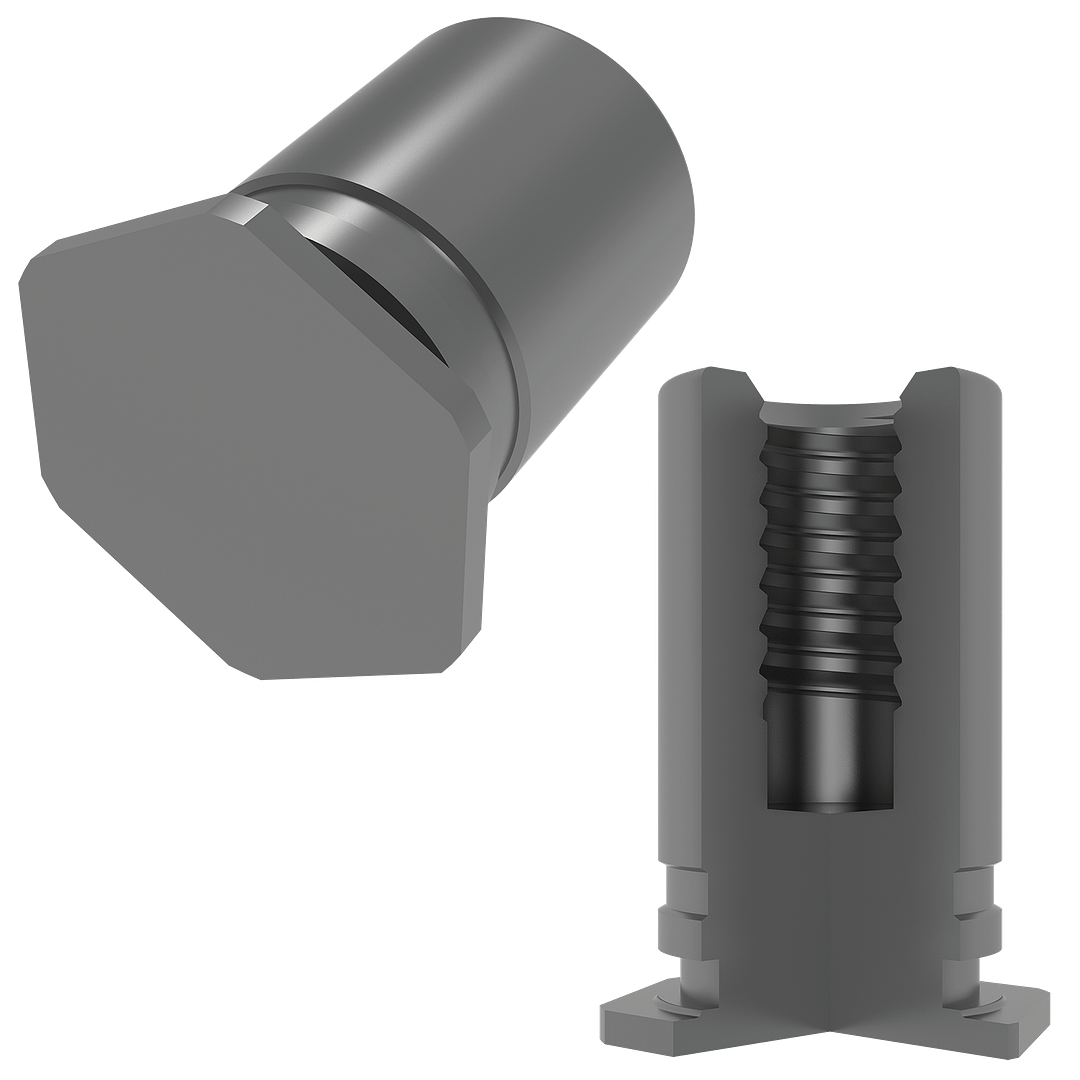 BSO-RT-Image