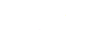 Pem-white-logo
