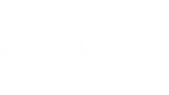 Profil-web-penneng-logo