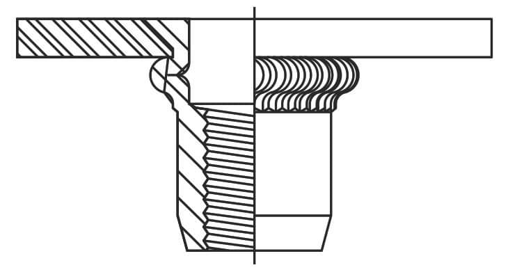 CKCM-Dwg