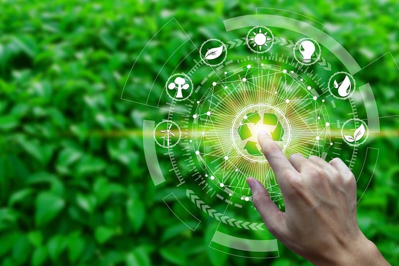 Sustainability-1