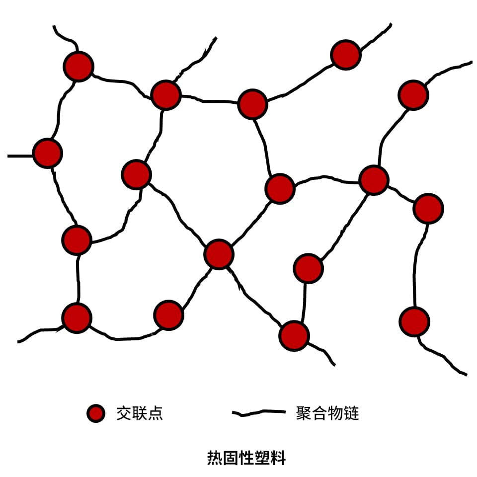 Setter-1
